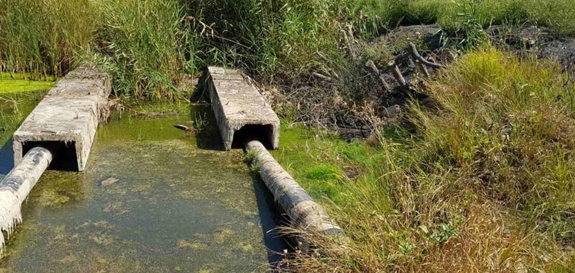 На Днепропетровщине люди самовольно перекрыли реку дамбой. Фото