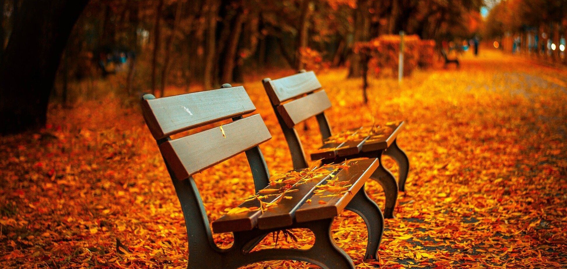 Синоптик дал прогноз погоды в Украине на осень