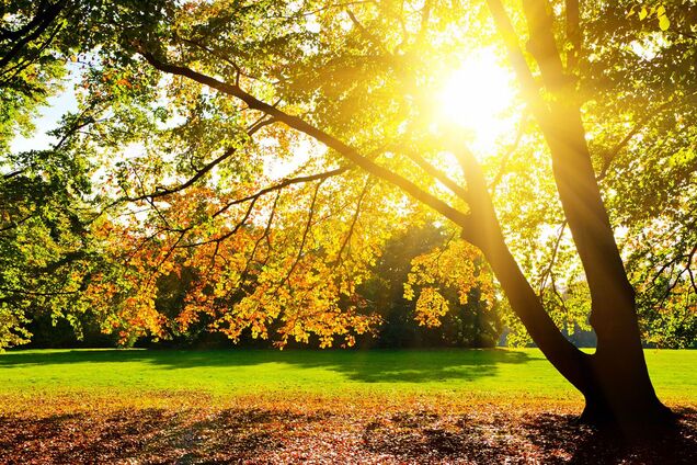 Синоптики дали свежий прогноз погоды в Днепре на понедельник