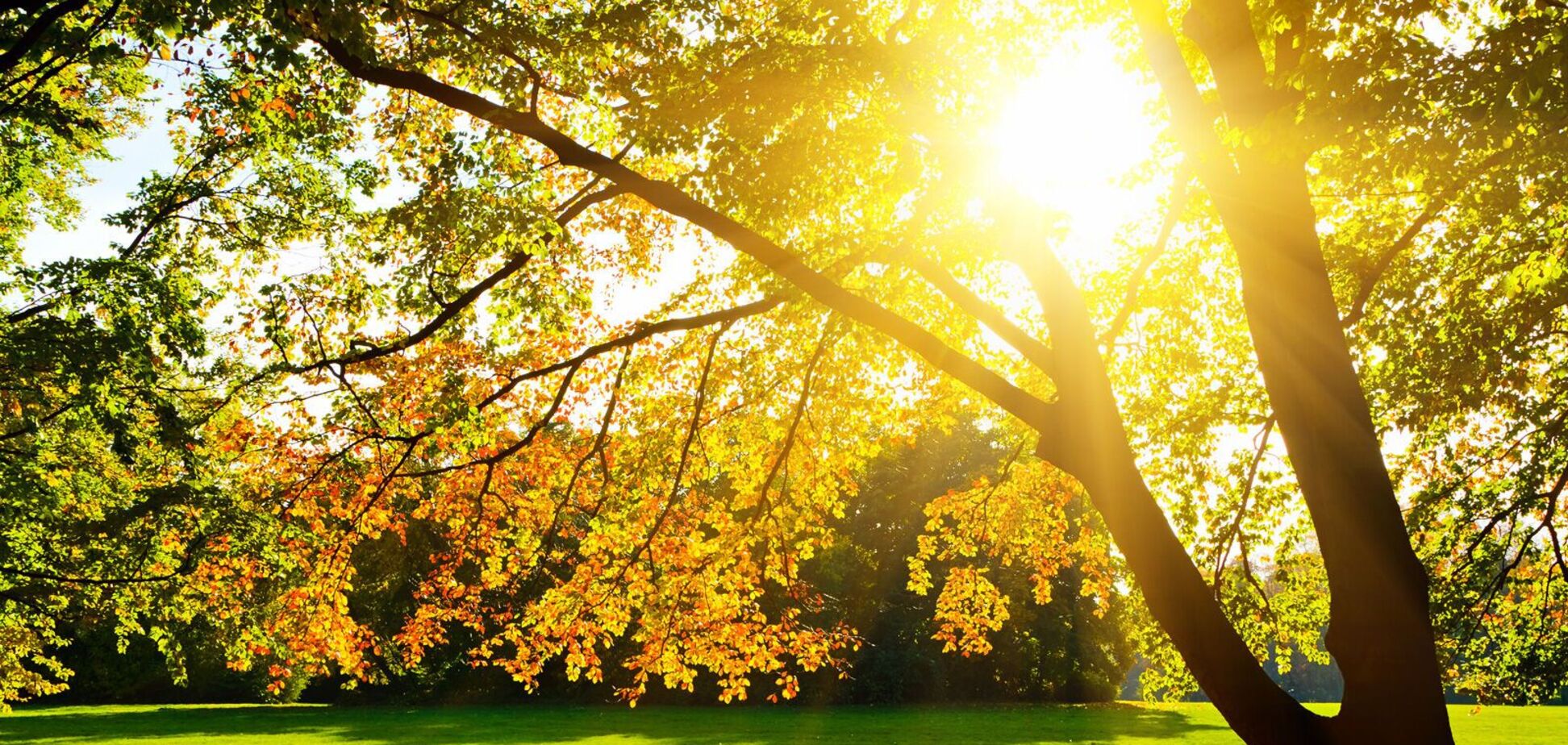 Синоптики дали свежий прогноз погоды в Днепре на понедельник