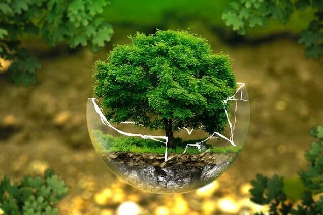 Всемирный фонд природы заявил о экокатастрофе в Украине