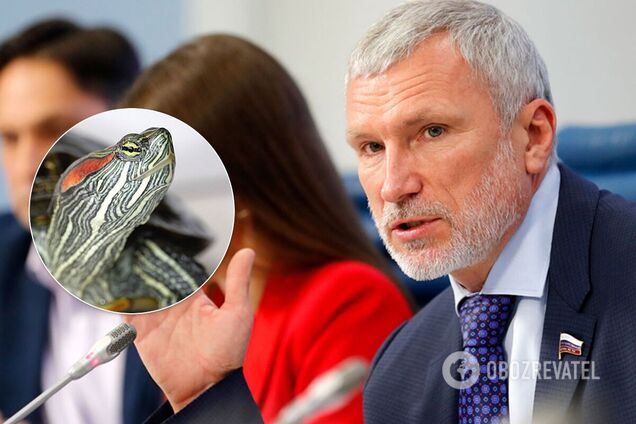 Олексій Журавльов видав фейк про зообордель з черепахами в Данії