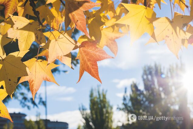 Погода в Україні