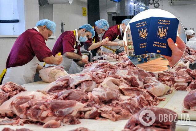 В Германии устроили облавы на украинских заробитчан