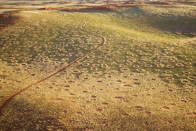 'Відьмові кола' в Африці розташовані в пустелі Намібії