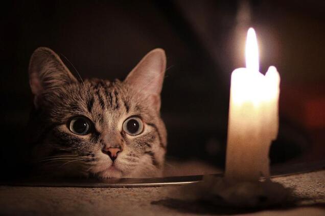 В четырех районах Днепра отключат свет: кого коснется