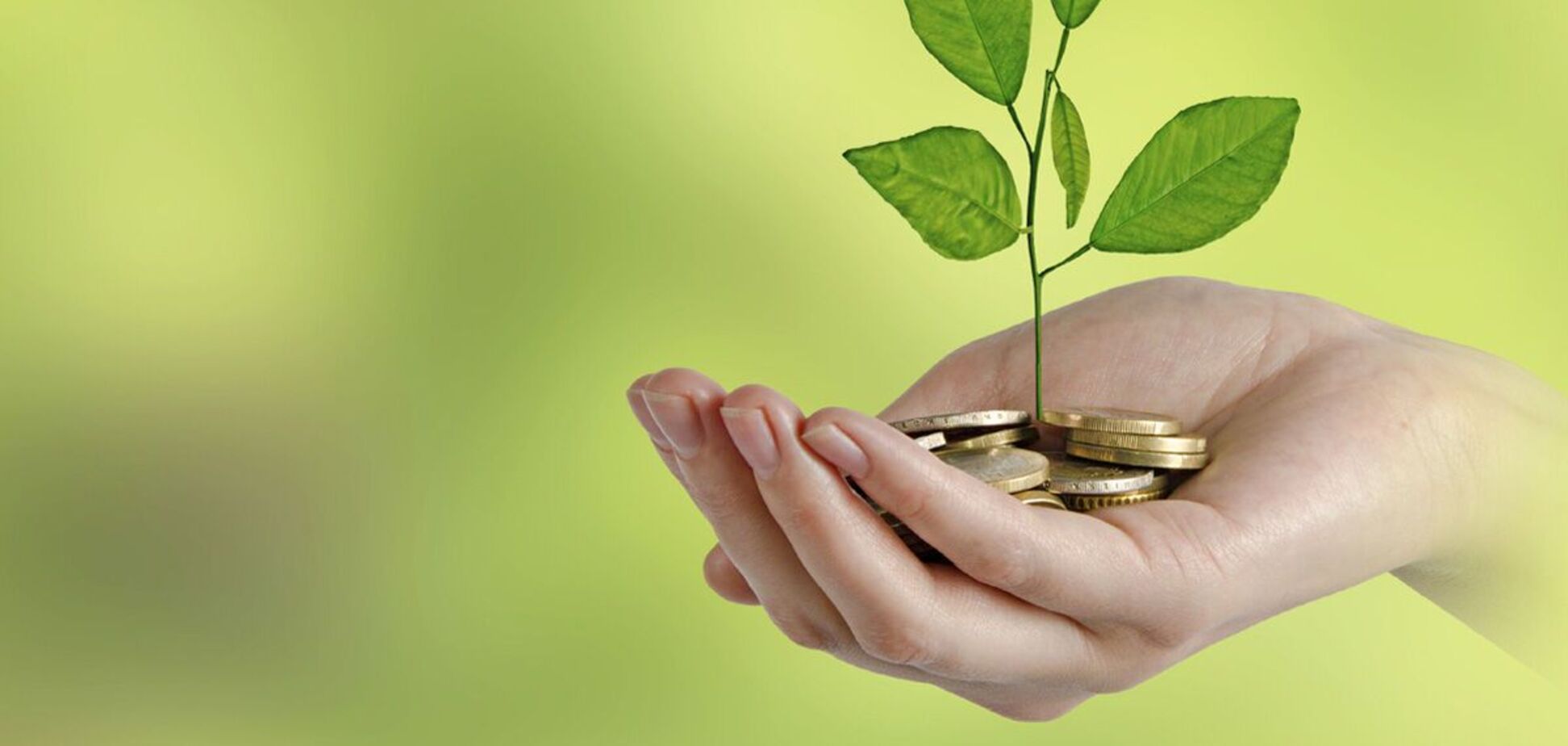 Перед принятием экологических проектов нужно максимально упростить разрешительные механизмы – ПАЕУ