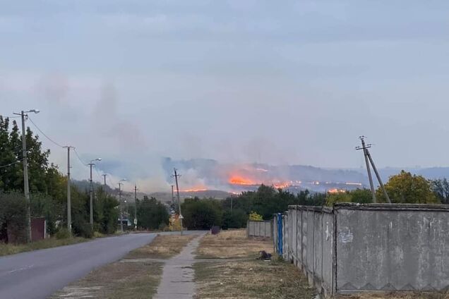 Лесной пожар под Краматорском