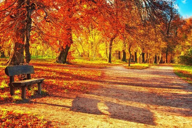 З'явився прогноз погоди на жовтень