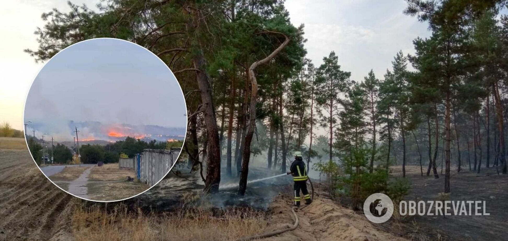 На Луганщине загорелись 20 га леса: пожар тушат уже второй день. Фото