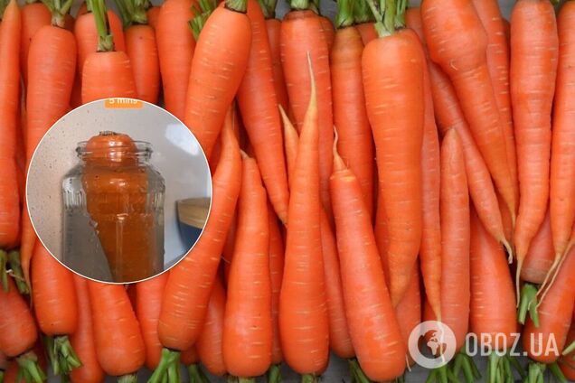 В сети показали, как 'реанимировать' старую морковь: видео стало вирусным