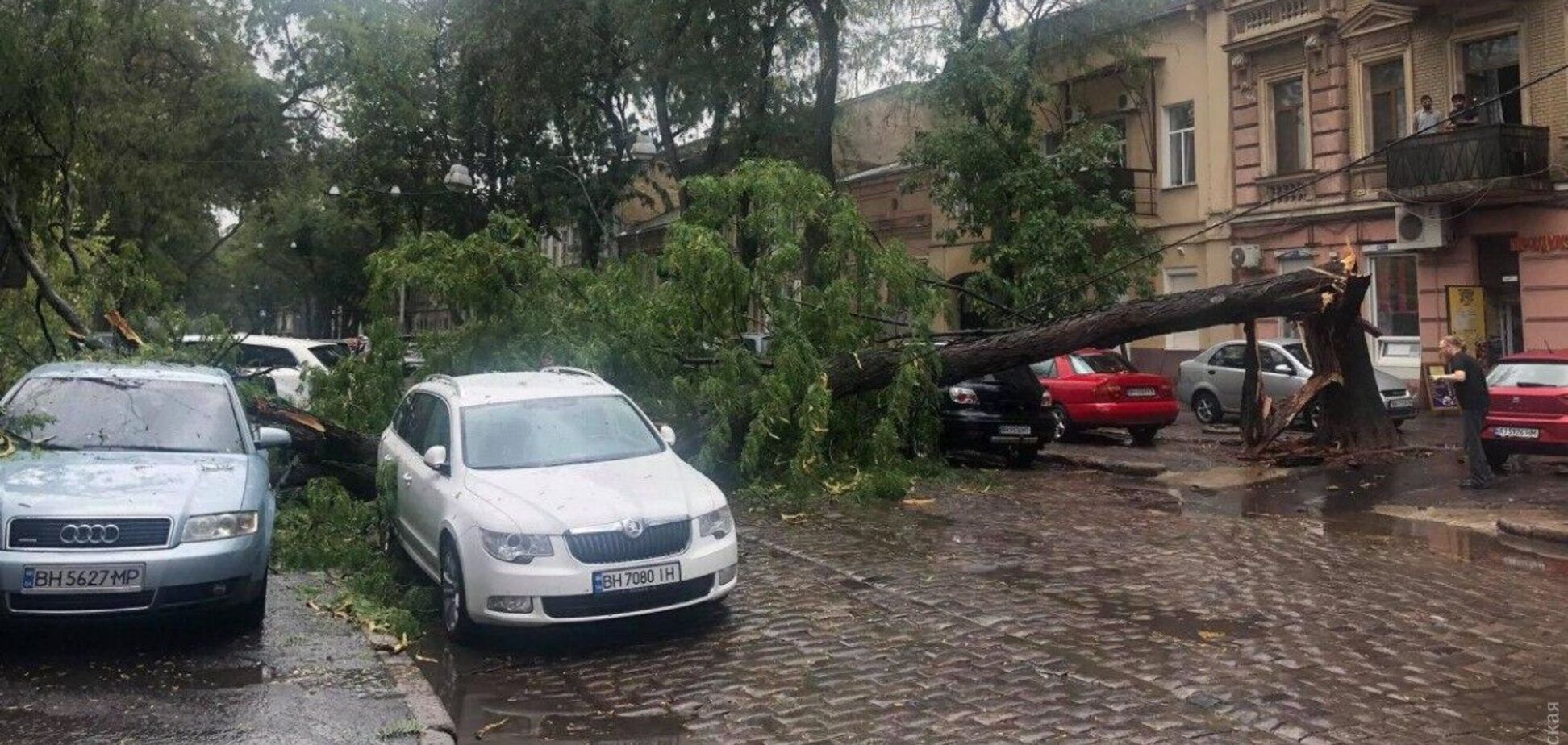 В Одесі сильна злива з грозою влаштувала 'деревопад'. Фото, відео