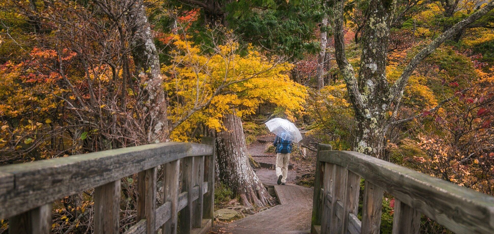 Гороскоп для всех знаков зодиака на вторник