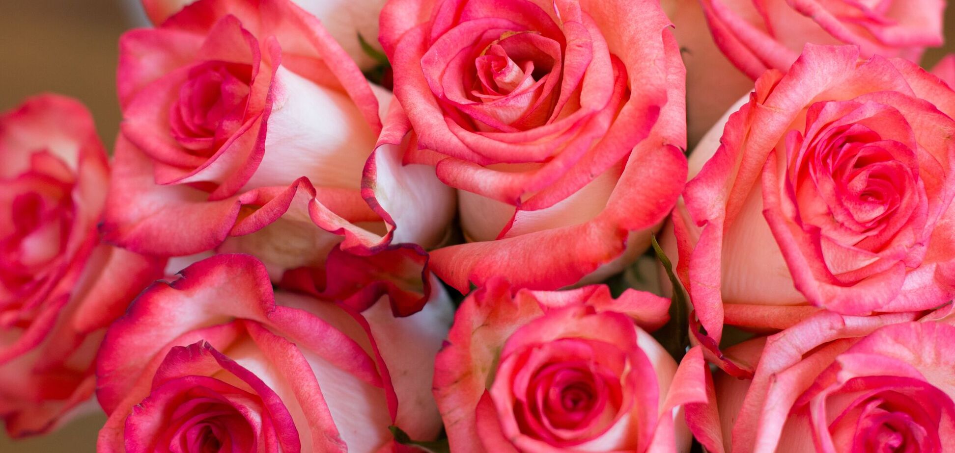 Вера, Надежда, Любовь и София 30 сентября отмечают свои именины