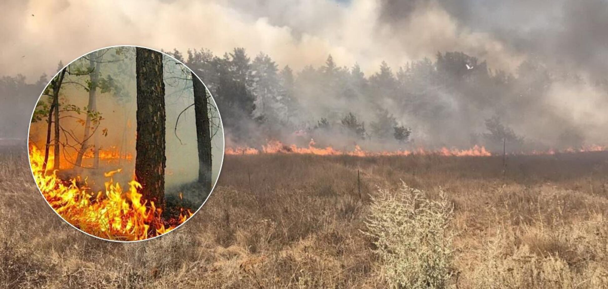 У Росії на кордоні з Україною спалахнули лісові пожежі: є жертви. Фото і відео