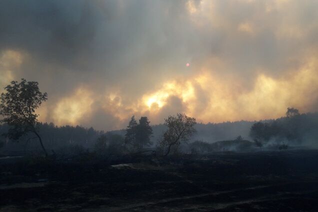 Лесной пожар на Харьковщине: к тушению привлекли сотни человек и авиацию. Видео