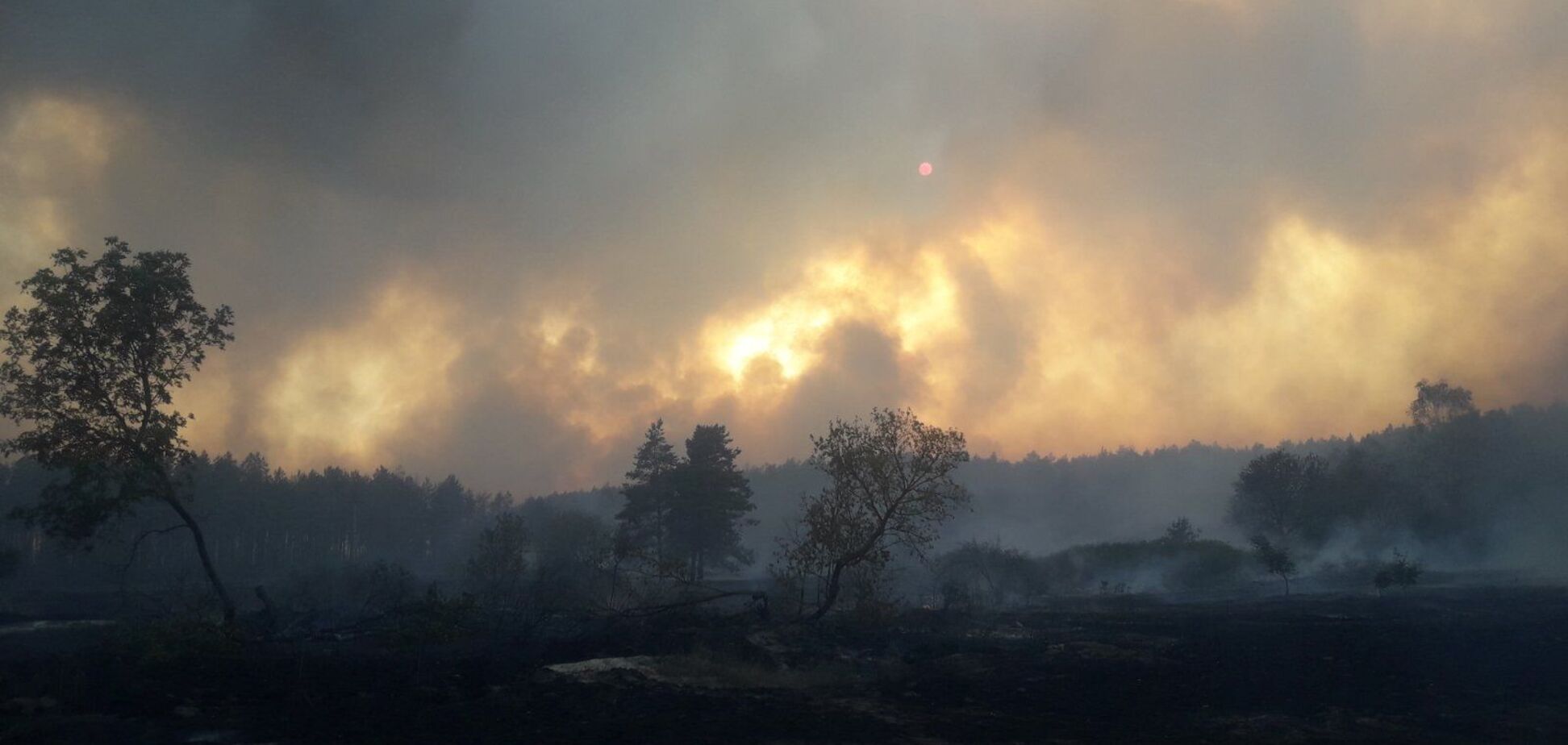 Лісова пожежа на Харківщині: до гасіння залучили сотні осіб та авіацію. Відео