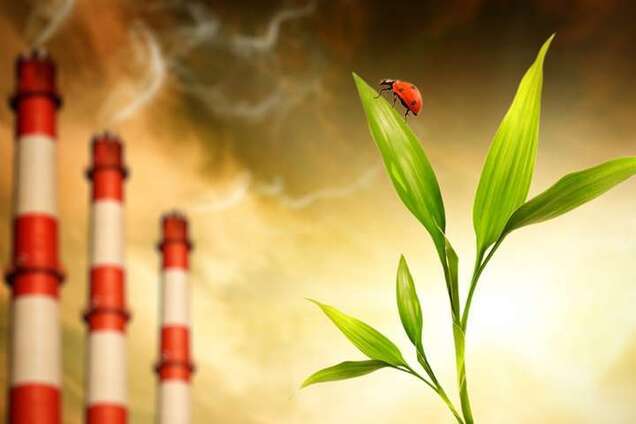 Україна не має інструментів для скорочення промислових викидів, але вона не поспішає їх розробляти, – експерт