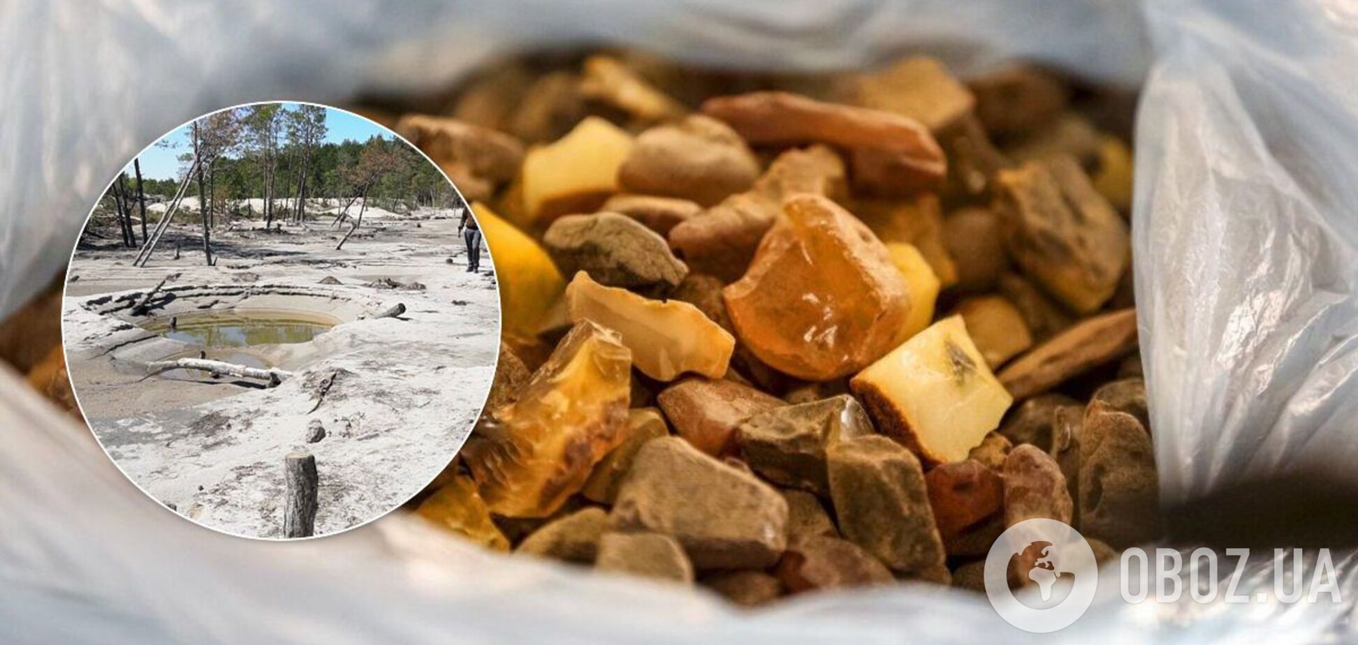 Глава Житомирской ОГА объявил о победе над 'янтарной мафией'