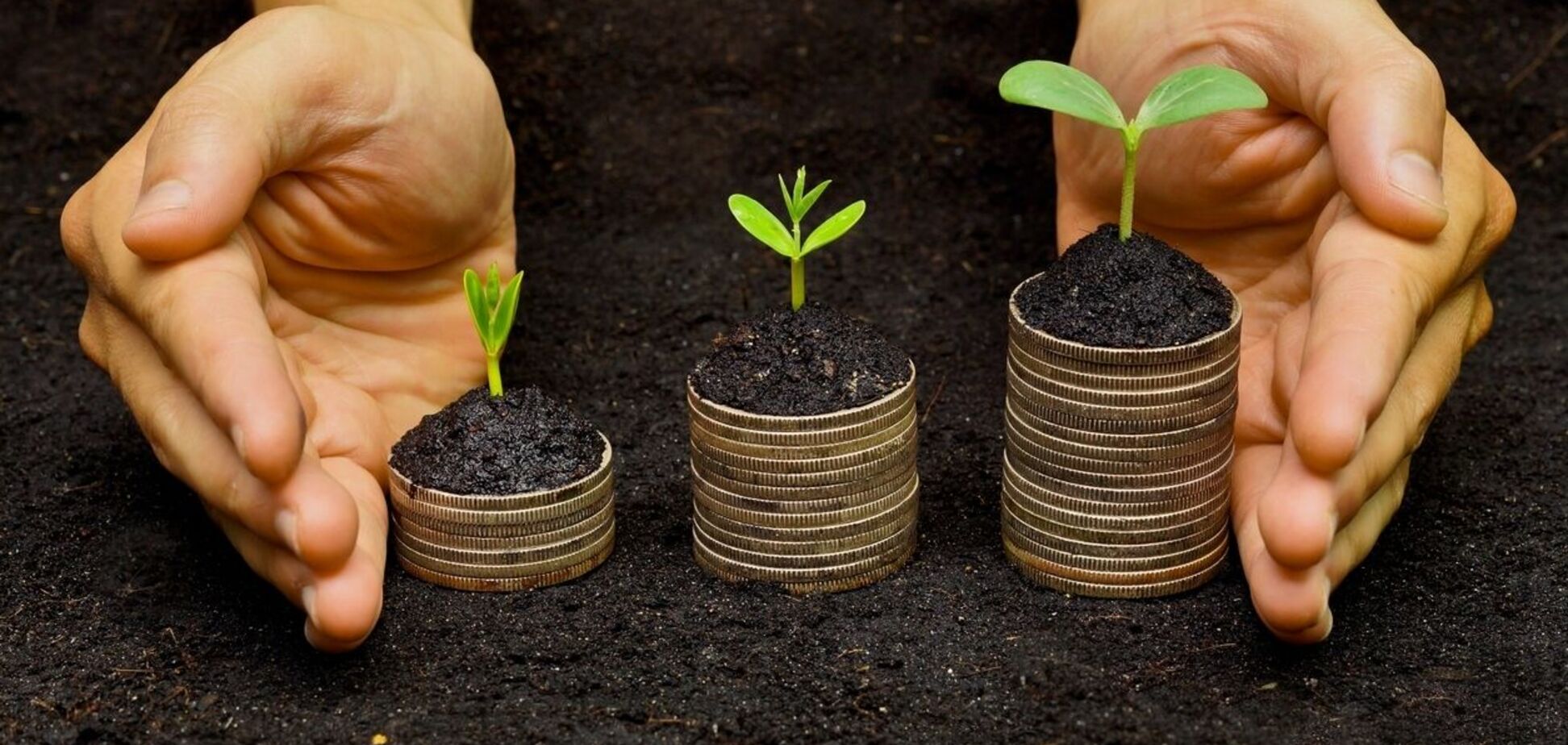 Рынок земли