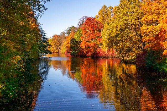 В Украину придет бабье лето