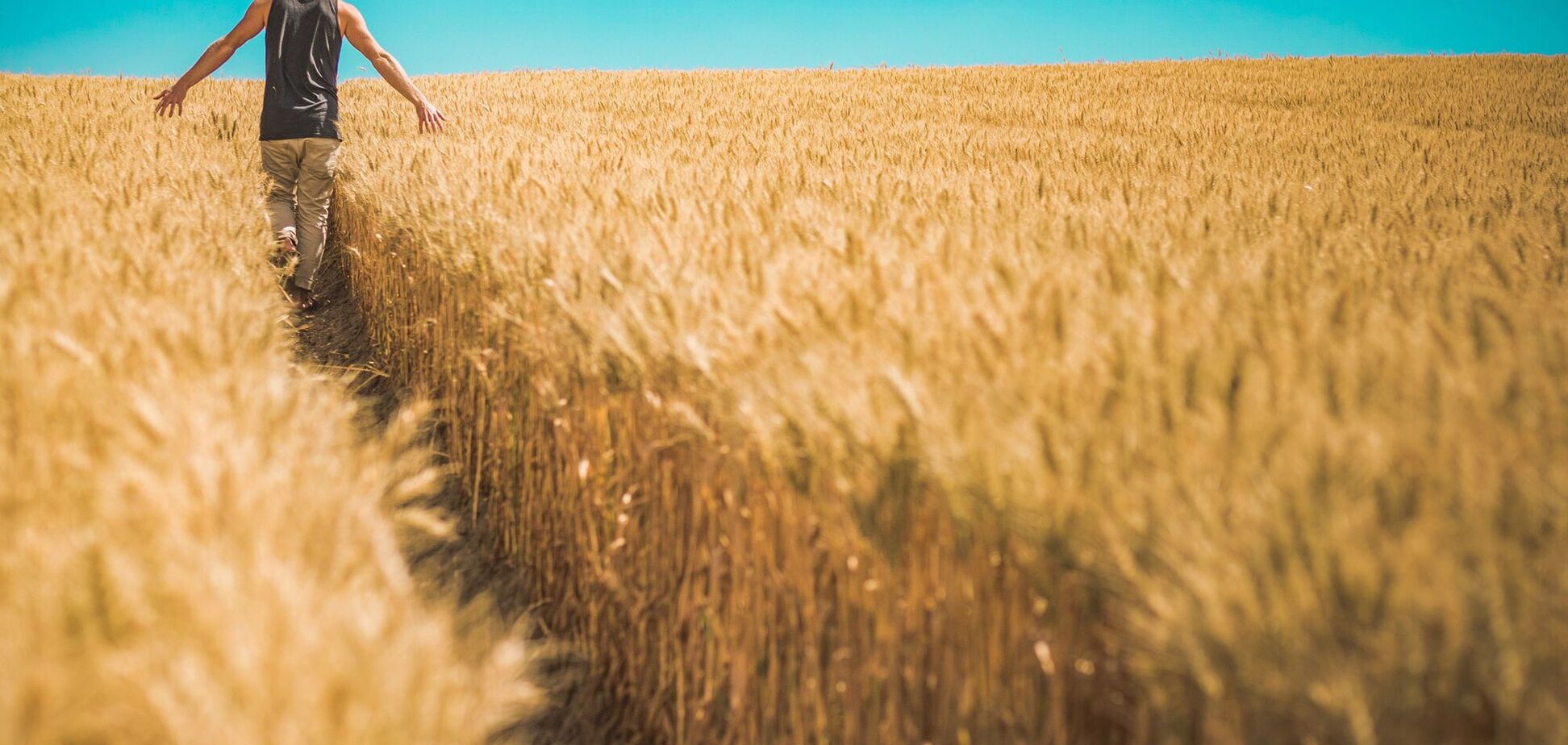 Каждый украинец имеет право на бесплатный участок земли