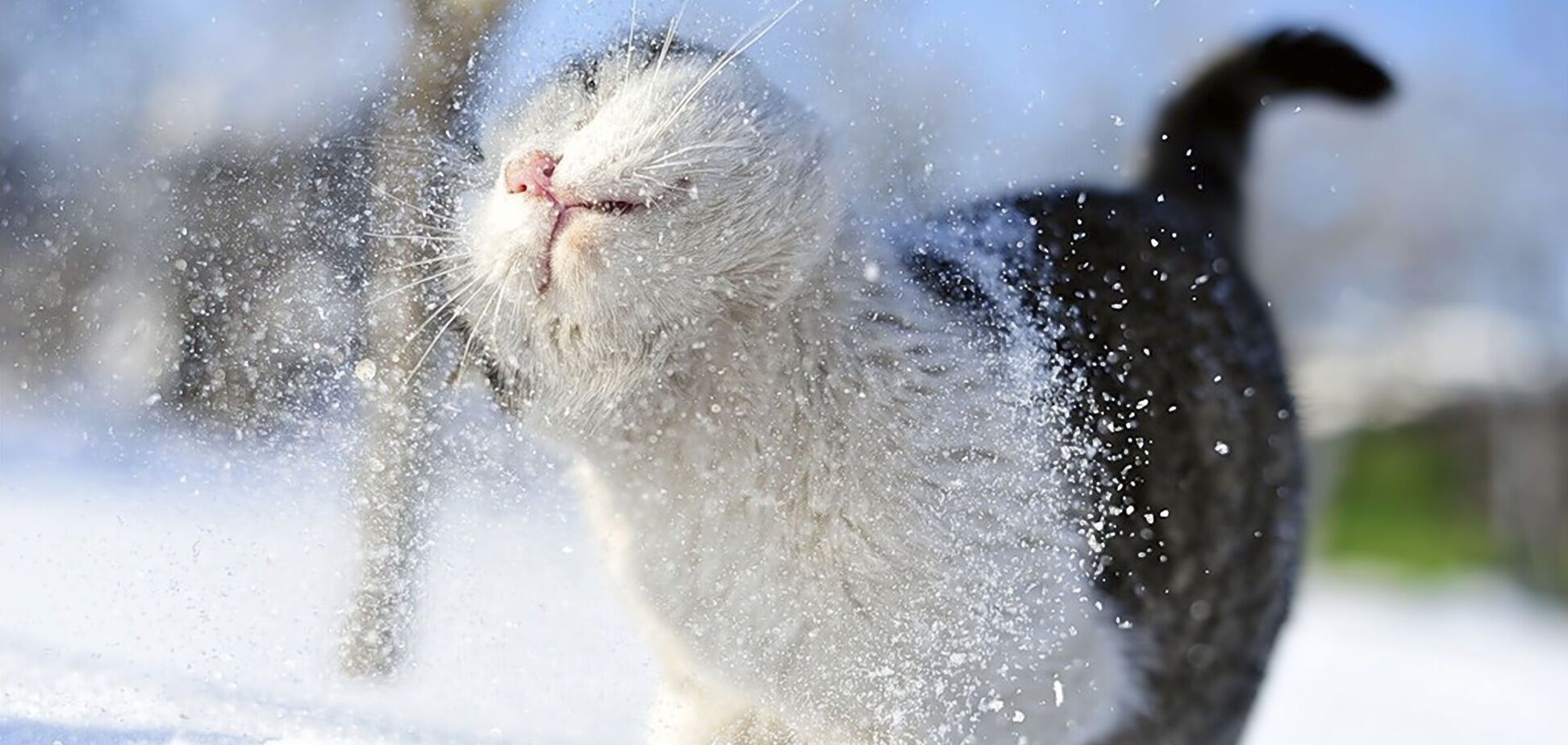 В Україну йде морозна погода: синоптики дали прогноз на 11 січня. Мапа