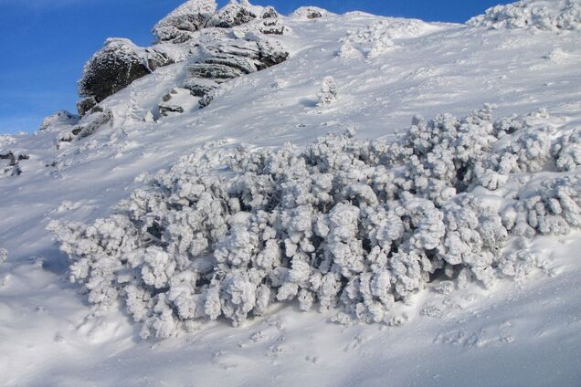 Больше всего снега выпало в районе станции 'Плай'