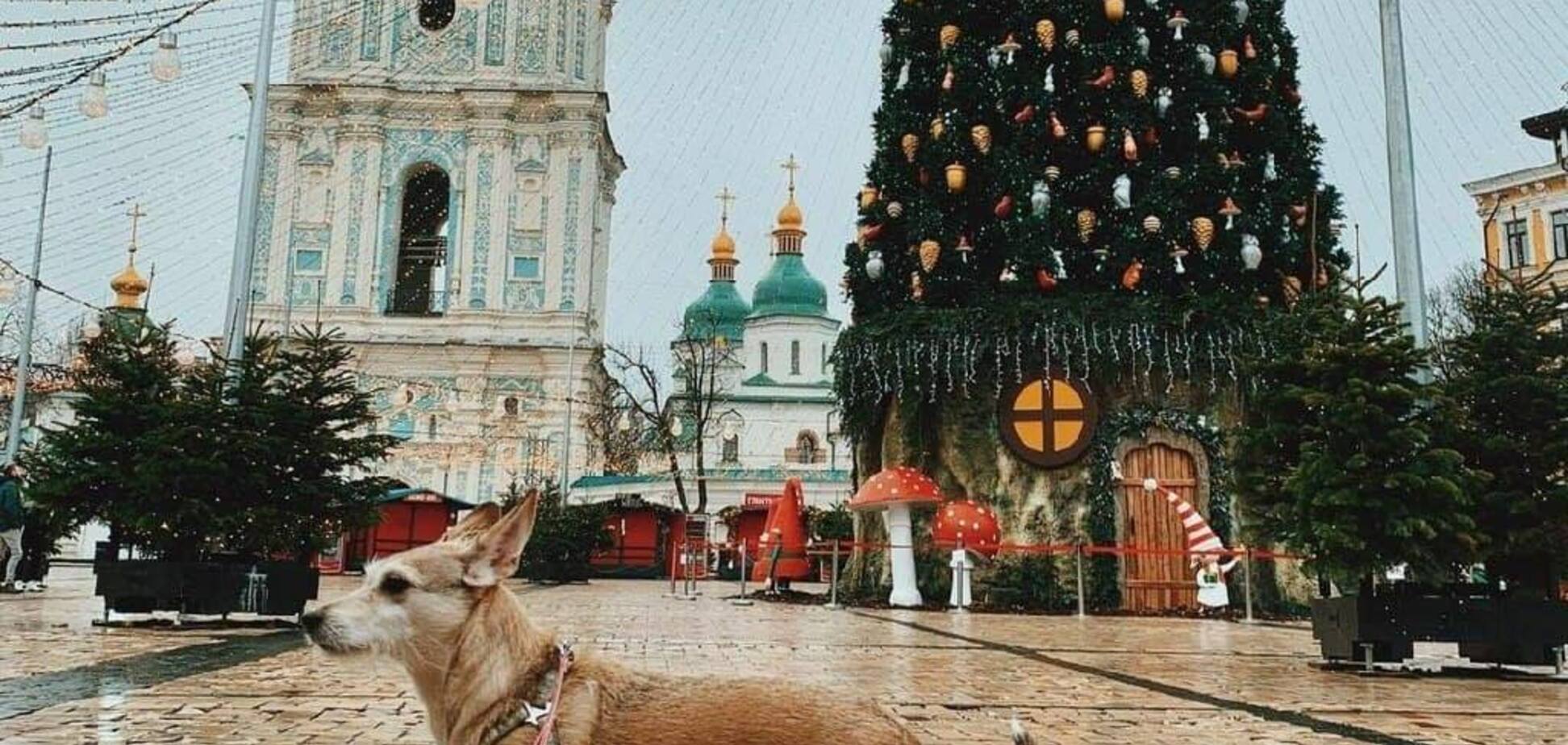 На Софійській площі в Києві почали згортати новорічну локацію
