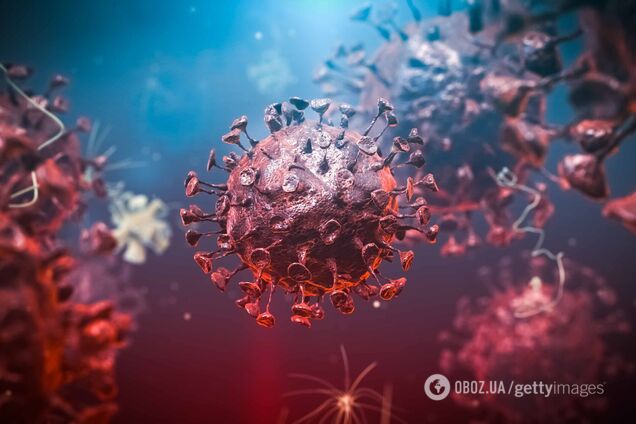 Коронавирус в организме человека