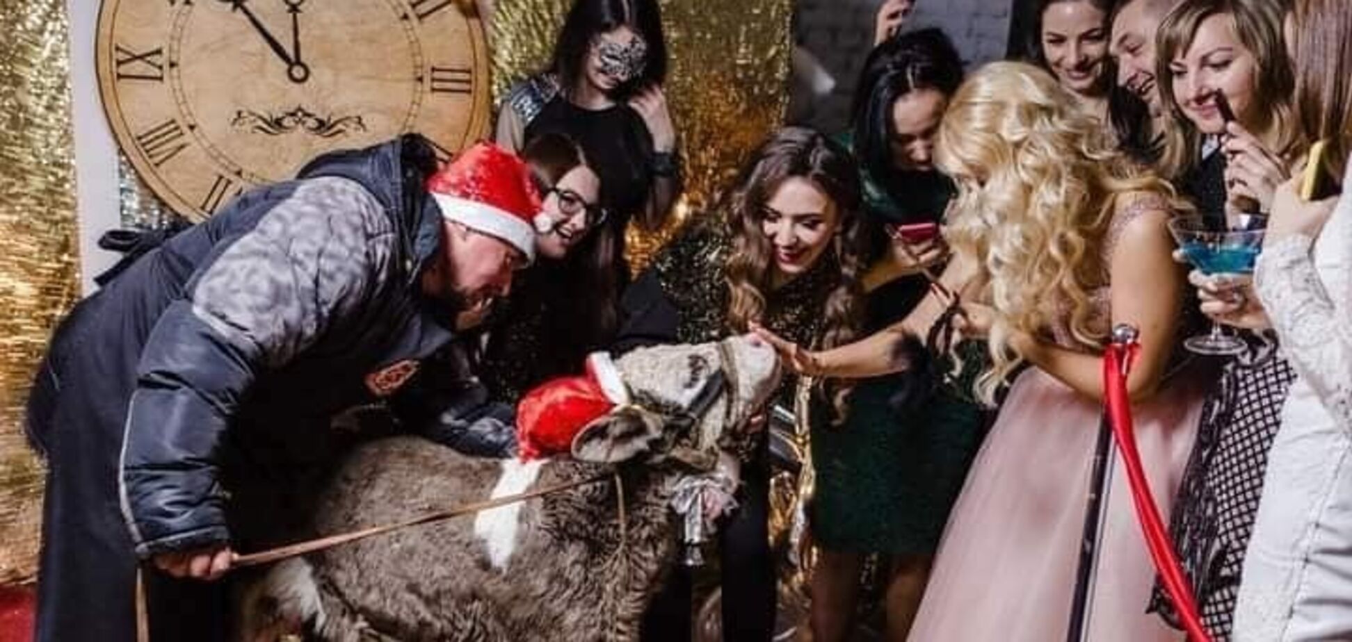 В Украине косметический бренд оскандалился из-за привязанного теленка на вечеринке. Подробности