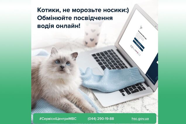 Как поменять водительские права в локдаун: в МВД дали инструкцию
