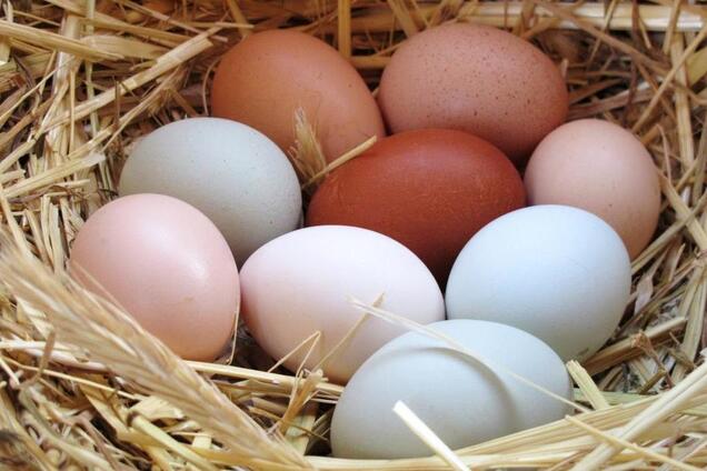 Названо три причини подорожчання яєць в Україні