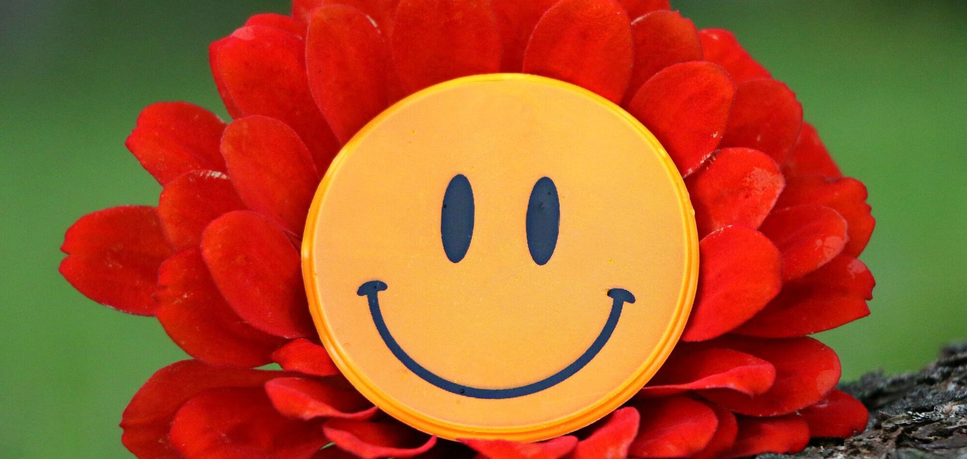 Анекдоти дня