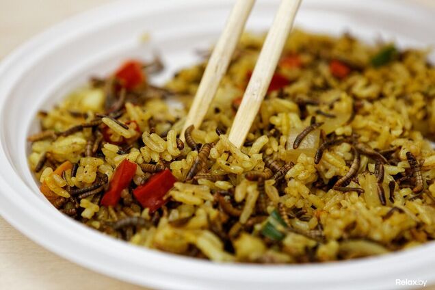 В России будут есть мучных червей