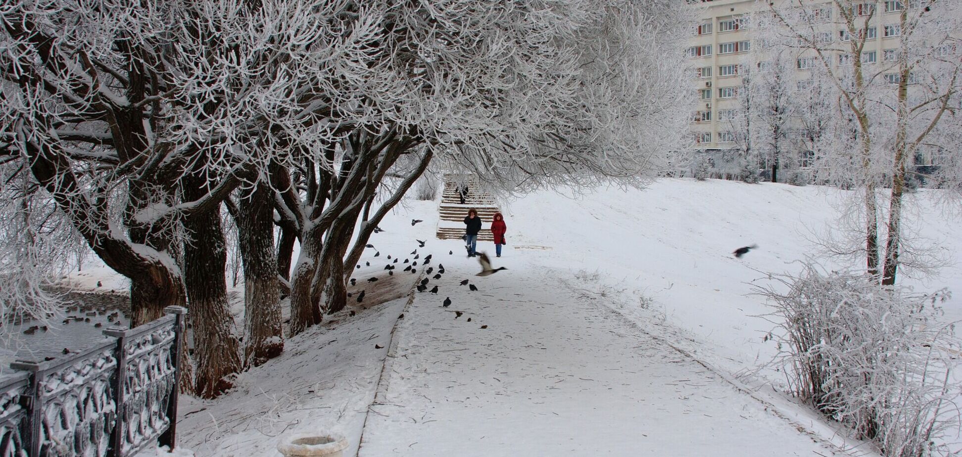 Погода в Украине 16 января будет морозной