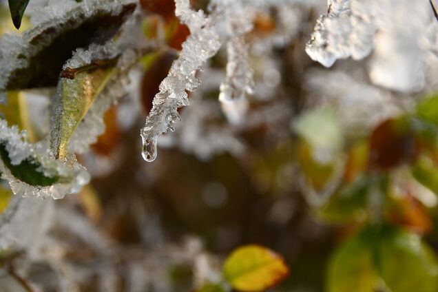 Предвидится оттепель