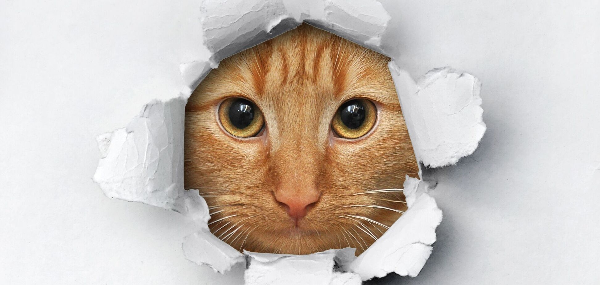 Анекдоти дня: смішні приколи та жарти за 20 січня