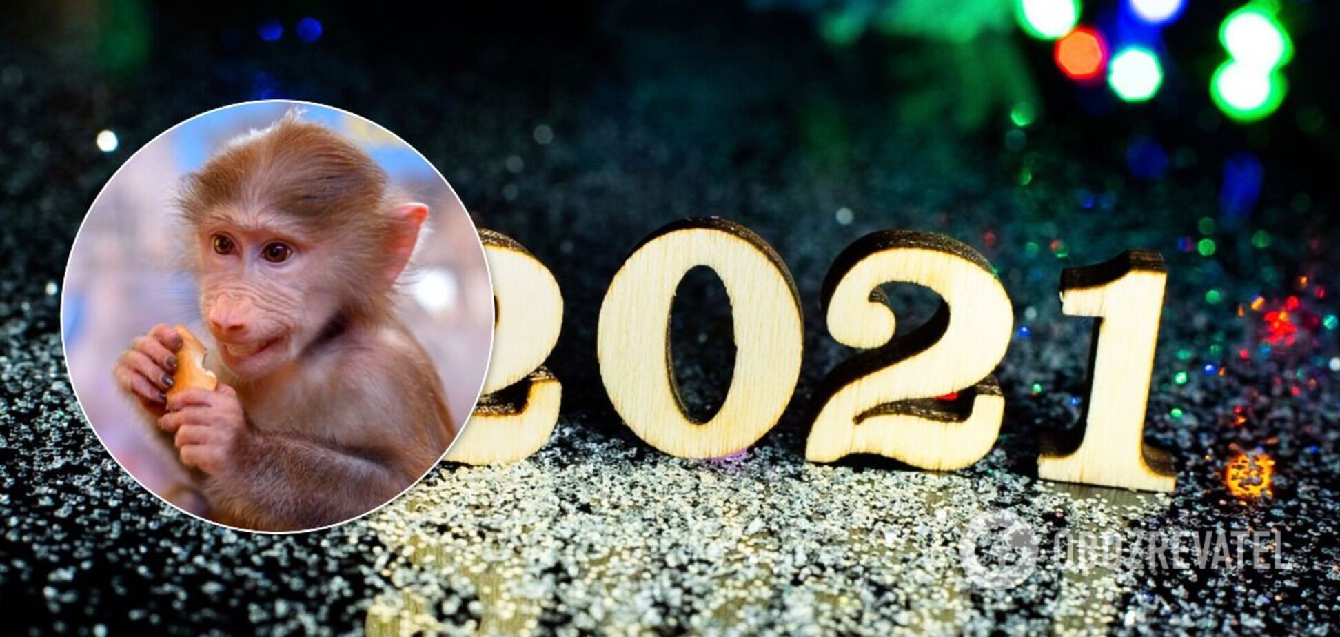 Китайский гороскоп для Обезьяны на 2021-й: каким будет год