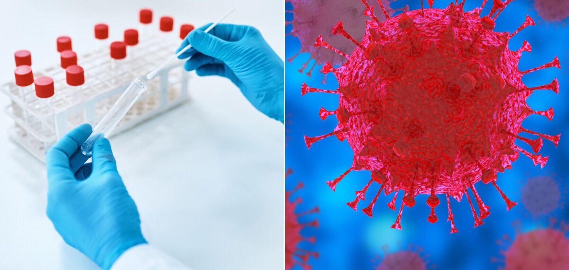 Тест на коронавирус