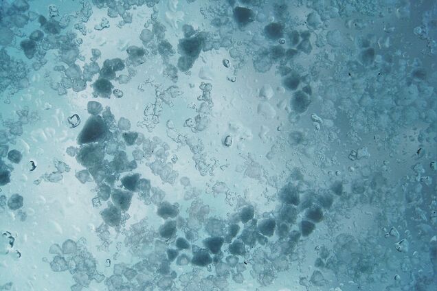 Мокрый снег