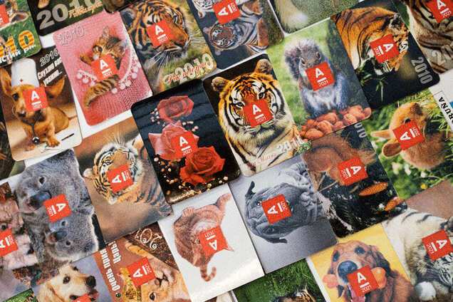 Кошенята, діти та зірки кіно: як колекційні календарі стали еко-арт-проєктом