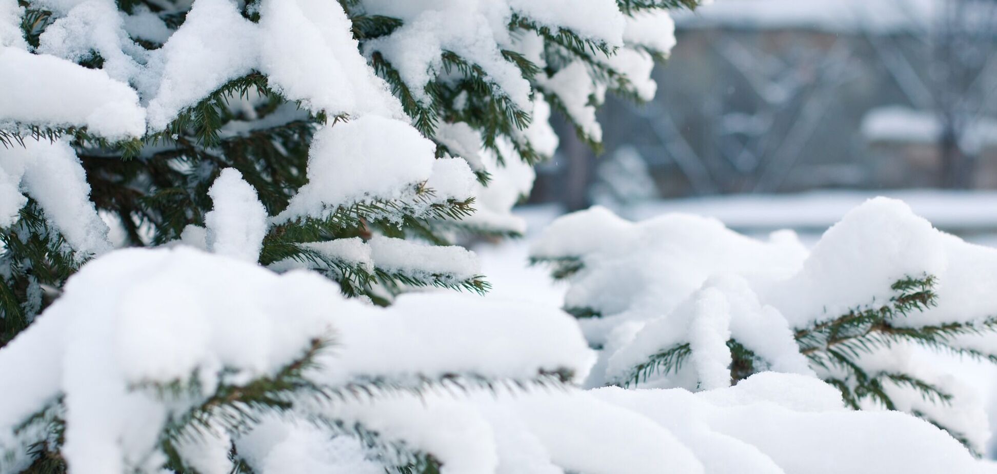 В Україні випаде сніг