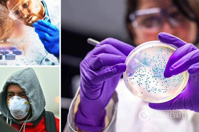 На Львовщине за последние два года зафиксировали второй случай хантавируса