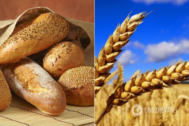 Чому в Україні зростає ціна на цукор і хліб