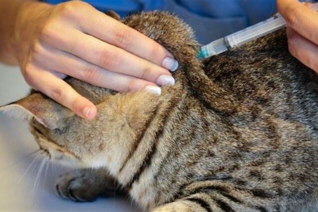 Карантин триватиме щонайменше два місяці