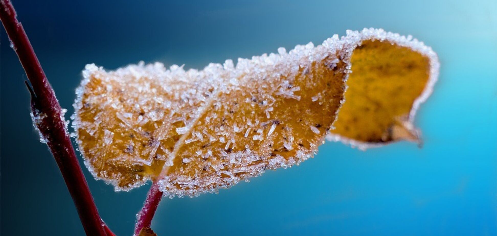 Очікуються тумани та паморозь