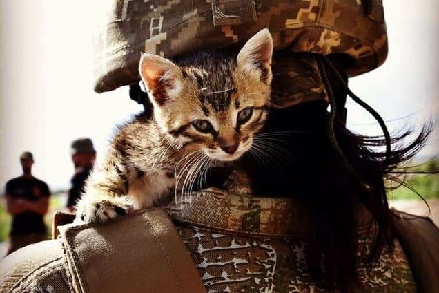 Итоги-2020: мы живы, мы все еще Украина и наши воины поубивали кучу негодяев