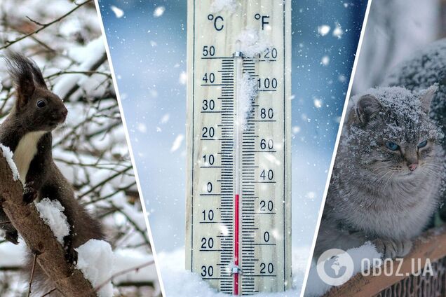 Ожидается 'война' циклонов: синоптики дали прогноз погоды на февраль в Украине