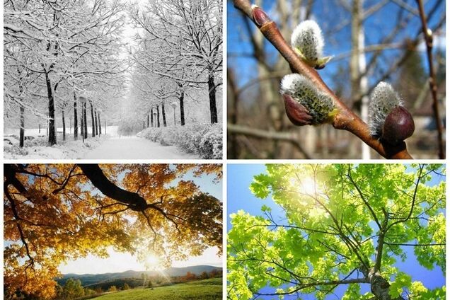 2020-й у Києві побив усі рекорди спостережень і став найтеплішим роком